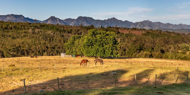 3 Bedroom Property for Sale in Plettenberg Bay Rural Western Cape